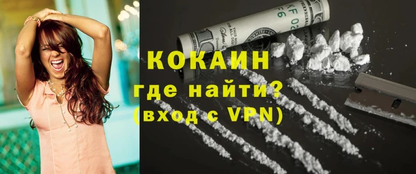 прущие грибы Алексин